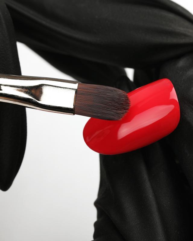 Brush Oval #6